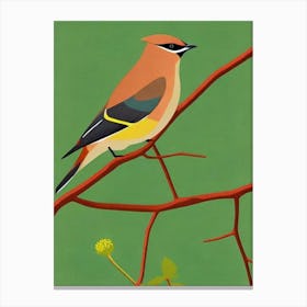 Cedar Waxwing Midcentury Illustration Bird Canvas Print