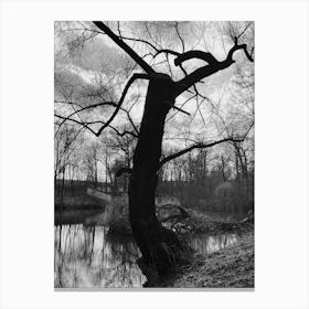 white&black Canvas Print