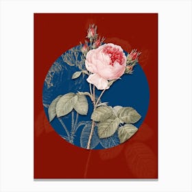 Vintage Botanical Pink Cabbage Rose on Circle Blue on Red n.0006 Canvas Print