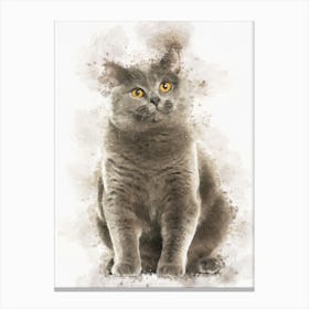 Mixed Breed Cat Canvas Print