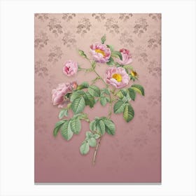 Vintage Tomentose Rose Botanical on Dusty Pink Pattern n.0685 Canvas Print