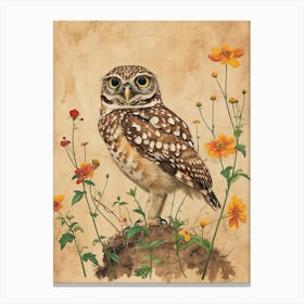 Burrowing Owl Vintage Illustration 2 Canvas Print