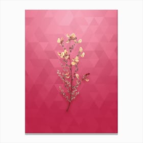 Vintage Adenocarpus Botanical in Gold on Viva Magenta n.0557 Canvas Print