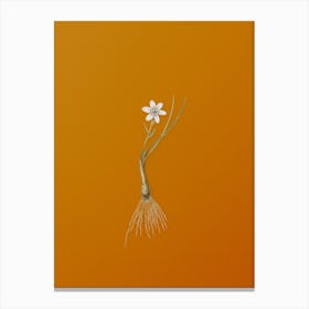 Vintage Snowdon Lily Botanical on Sunset Orange n.0550 Canvas Print