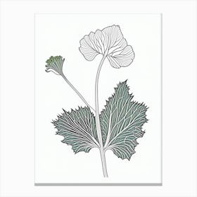 Coltsfoot Herb William Morris Inspired Line Drawing 3 Canvas Print
