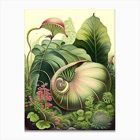 Garden Snail In Shaded Area 1 Botanical Canvas Print