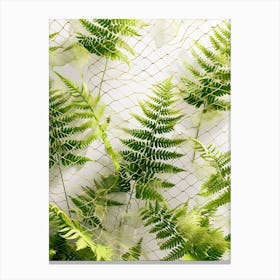 Pattern Poster Netted Chain Fern 3 Canvas Print