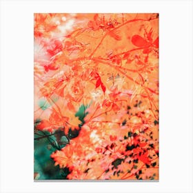 Spring Canvas Print