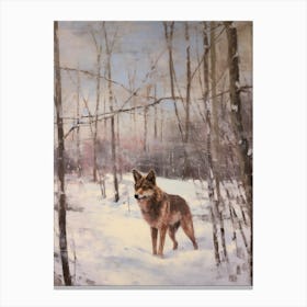 Vintage Winter Animal Painting Red Wolf 2 Canvas Print