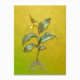 Vintage Yellow Lady's Slipper Orchid Botanical Art on Empire Yellow n.0690 Canvas Print