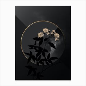 Shadowy Vintage Lady Bank's Rose Botanical in Black and Gold n.0038 Canvas Print