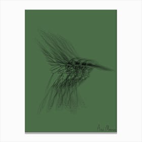 Colibri007 Canvas Print