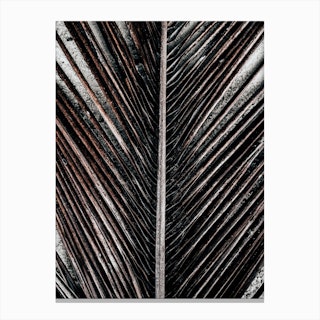 Beach Palm Patterns X Canvas Print