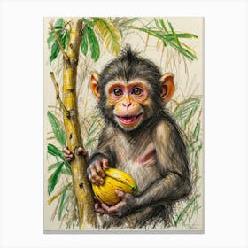 Chimpanzee 3 Canvas Print