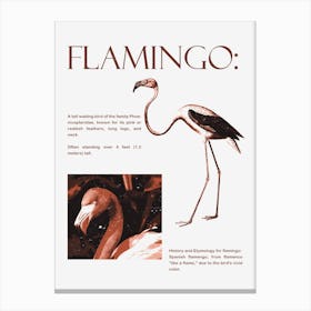 Flamingo Canvas Print