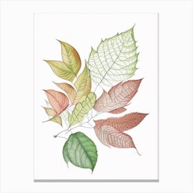 Leaf Pattern 5 Canvas Print