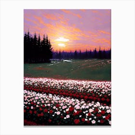 Sunset In A Flower Field Canvas Print