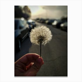 Dandelion Canvas Print