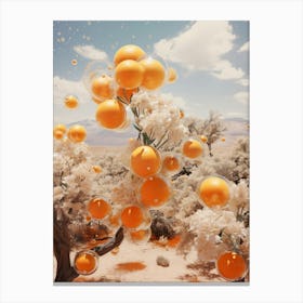 oranges in the desert Canvas Print