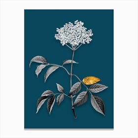 Vintage Elderflower Tree Black and White Gold Leaf Floral Art on Teal Blue Canvas Print