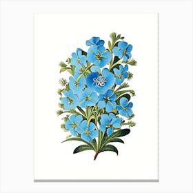 Forget Me Not 3 Floral Botanical Vintage Poster Flower Canvas Print