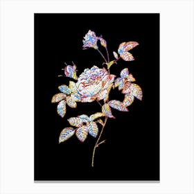 Stained Glass Pink Rose Turbine Mosaic Botanical Illustration on Black n.0358 Canvas Print