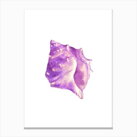 Purple Conch Shell Canvas Print