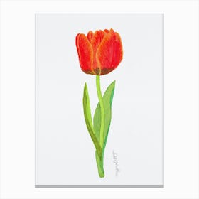 Tulip8 Canvas Print