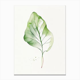 Radish Leaf Minimalist Watercolour Canvas Print