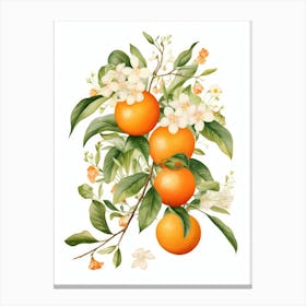 Oranges And Flowers 2 Canvas Print