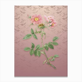 Vintage Lady Monson Rose Bloom Botanical on Dusty Pink Pattern n.1535 Canvas Print