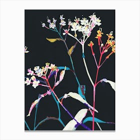 Neon Flowers On Black Babys Breath 2 Canvas Print