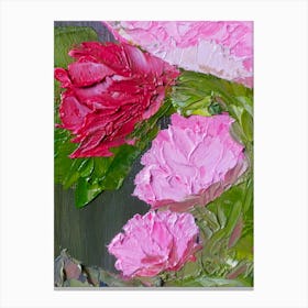 Pink Peonies Canvas Print