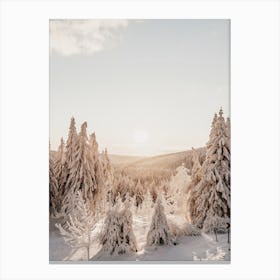 Warm Winter Scenery Canvas Print