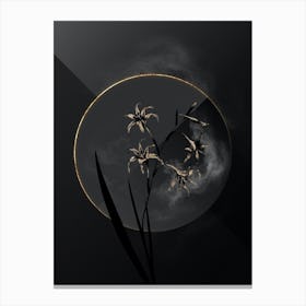 Shadowy Vintage Gladiolus Cuspidatus Botanical in Black and Gold 1 Canvas Print