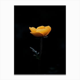 Single Yellow Flower 21 Canvas Print