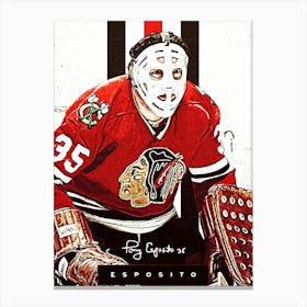 Chicago Blackhawks Canvas Print