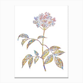 Stained Glass Elderflower Tree Mosaic Botanical Illustration on White n.0245 Canvas Print