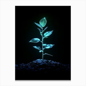 Green Plant On The Ground Canvas Print