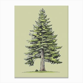 Douglas Fir Tree Minimalistic Drawing 4 Canvas Print