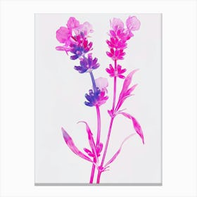 Hot Pink Lavender Canvas Print