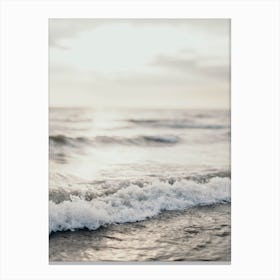 Whitewater Canvas Print