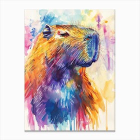 Capybara Colourful Watercolour 4 Canvas Print