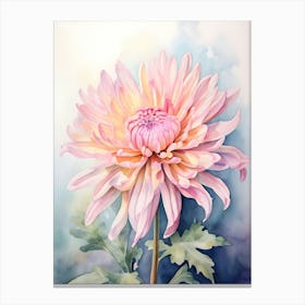 Pink Chrysanthemum Watercolor Painting Canvas Print