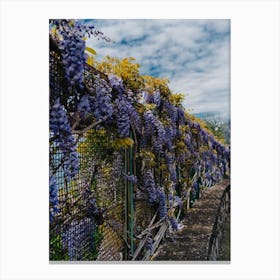 Amalfi Coast Blooms Iii Canvas Print