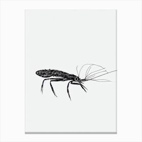 Shrimp Black & White Drawing Canvas Print