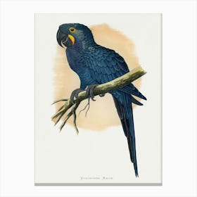 Parrot On A Branch 2 Canvas Print