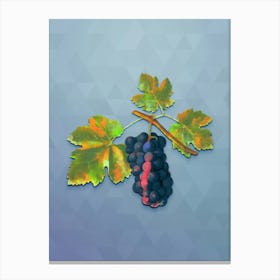 Vintage San Columbano Grapes Botanical Art on Summer Song Blue n.1566 Canvas Print