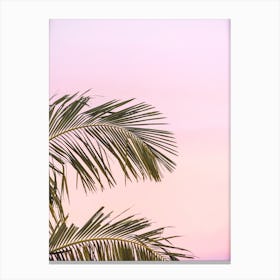 Pink Palm Sunset Canvas Print