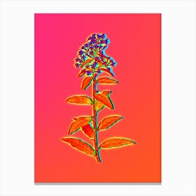 Neon Green Cestrum Botanical in Hot Pink and Electric Blue n.0328 Canvas Print